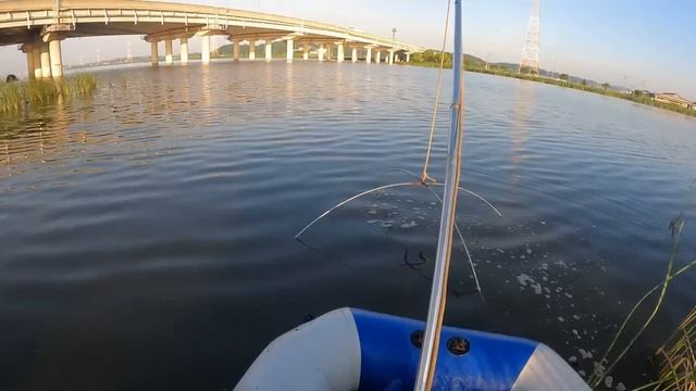 Отборный сазан на паук-подъемник. #fishing #рыбалка #낚시 #carpfishing