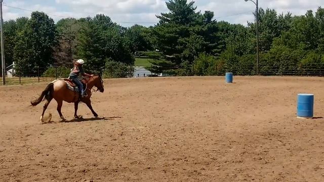 Barrels - Audrey and Blue Eyes WCSC July 30, 2017 смотреть онлайн