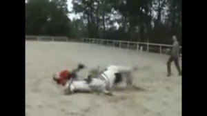 Конкур. Падение с лошади