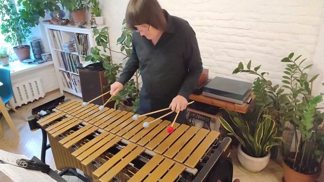 "Белочка". Фантазия на русские темы для вибрафона соло 5 палочками. смотреть онлайн