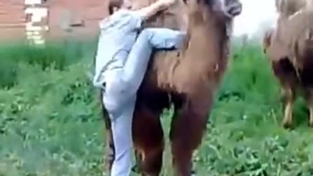 Залез называется смотреть онлайн