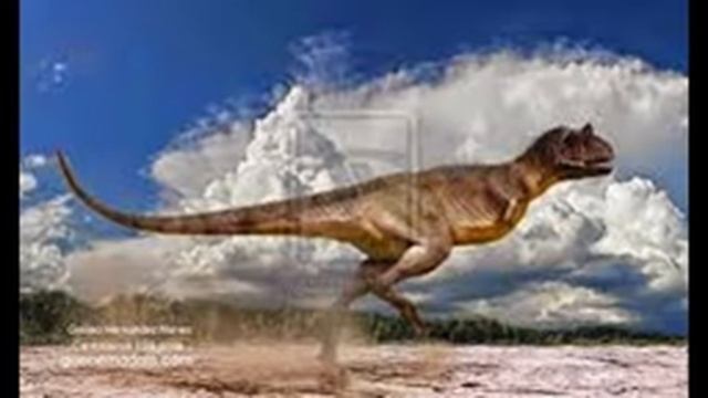 Tribute to Carnotauro смотреть онлайн