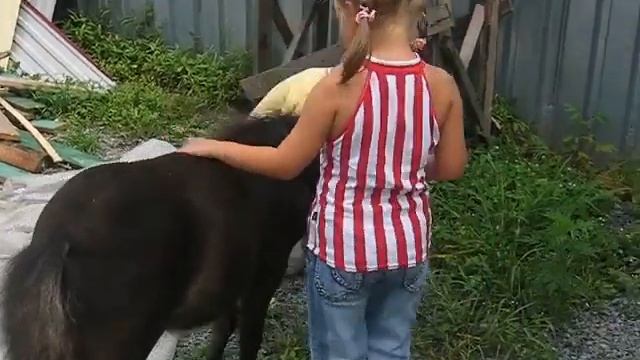 Вершин Вася и Катя Иванова. Владивосток 2005 г. смотреть онлайн