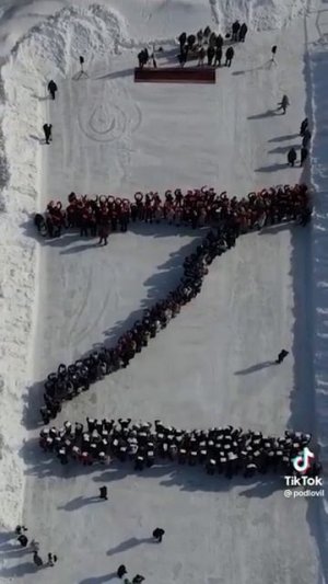 шарий и соловьев