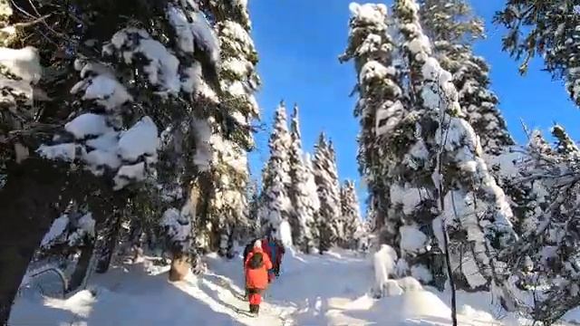 Пеший подъем на гору Волосяная смотреть онлайн