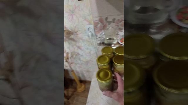 Приготовление тушонки из свинины в белорусском автоклаве УБ 24 смотреть онлайн