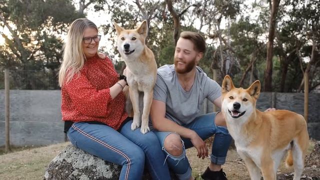 Dingo Encounter смотреть онлайн