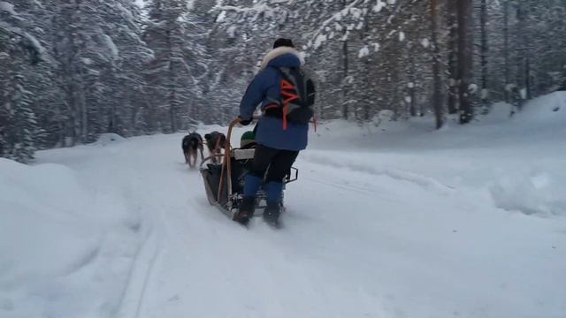 Саамское подворье смотреть онлайн