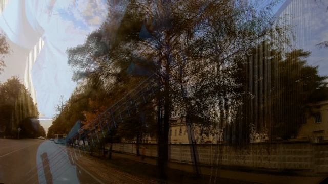 Запах незабудки