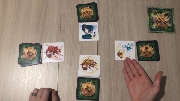 Обзор настольной игры «Гоббит» от издательства «GaGa Games»