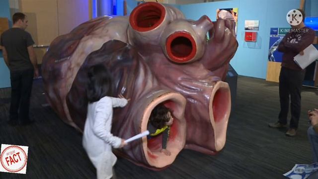 top 10 amazing fact in to Blow you mind ytshiv смотреть онлайн