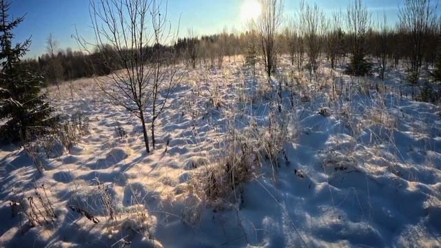 ТРОПЛЕНИЕ ЗАЙЦА | ОХОТА НА ЗАЙЦА | УДАЛОСЬ ДОБЫТЬ ТРОФЕЙ смотреть онлайн