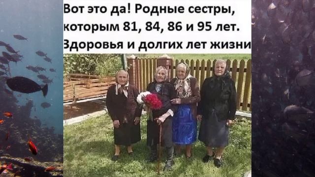***ВЫ БУДЕТЕ ПЛАКАТЬ ПОСЛЕ ПРОСМОТРА ЭТОГО ВИДЕО!!! смотреть онлайн