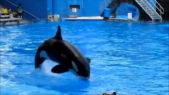 One Song 10/9/16 (2) смотреть онлайн