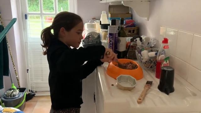 What I Feed My Dog! || Ava & Kitty смотреть онлайн