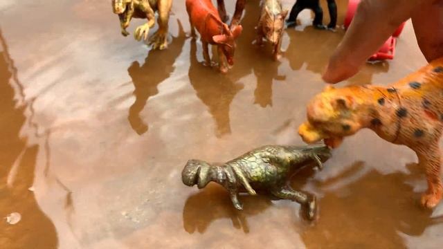 Wild animals collection farm ~ different animals collection reache loin zebra | zarafa elephant cow смотреть онлайн