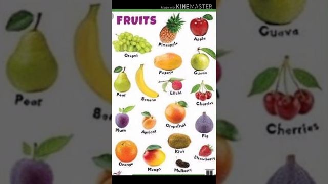 Standard 4 Environment Lesson 15 смотреть онлайн