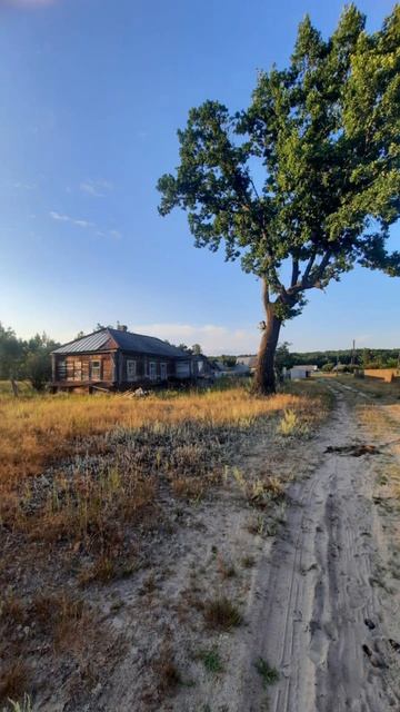 1000018706.mp4 смотреть онлайн