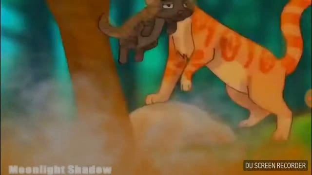 Клип Коты воители я не сплю я живои смотреть онлайн