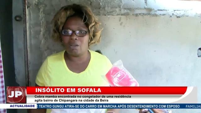 Cobra mamba encontrada no congelador de uma residência agita bairro de Chipangara na cidade da Beir смотреть онлайн