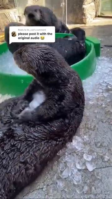 July 5, 2022 смотреть онлайн