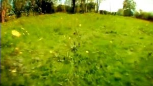 Букашки!!! - Божья коровка и паук))