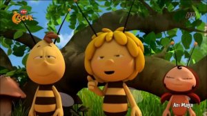 ARI MAYA   Yasak Meyve