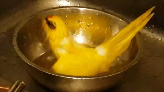 Бекончик купается смотреть онлайн