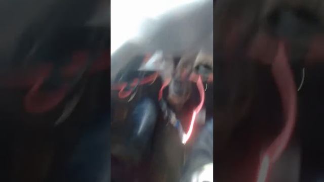 УАЗ 452 смотреть онлайн