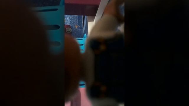 Хомяк влад а4 в тюрме смотреть онлайн