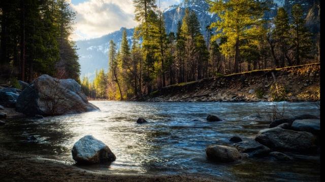 Новое видио с теориями! #кв#теории#warriorcats#ель#котывоители#коты#анимация#полосатая#wcue#роблокс смотреть онлайн