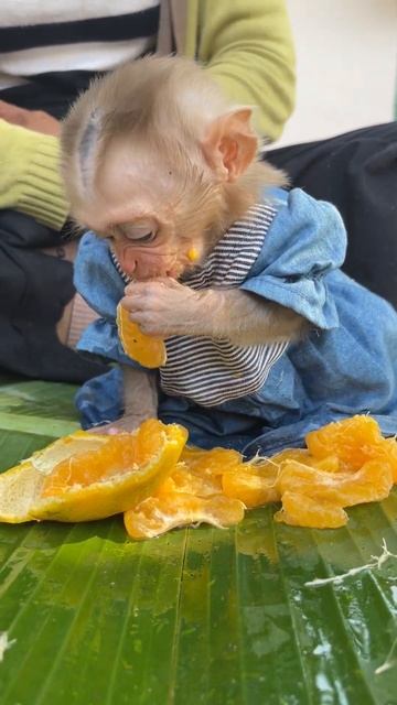 Just look at the mouth you know it's delicious смотреть онлайн