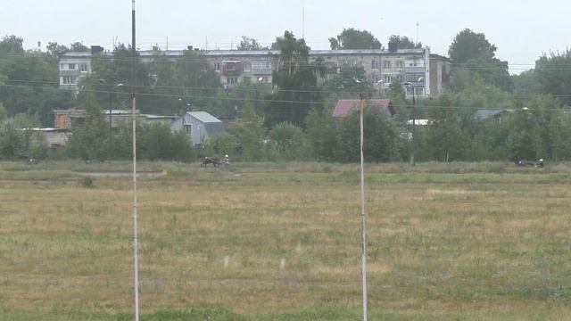 5 Раменский ипподром 29.06.2019 - Лошади рожд. 2016г. рысистых пород смотреть онлайн