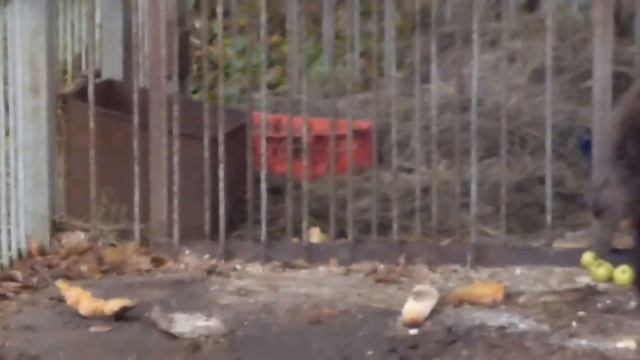 Тонечка смотреть онлайн