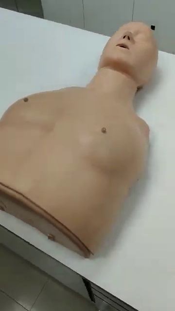 HALF BODY CPR MANIKIN смотреть онлайн