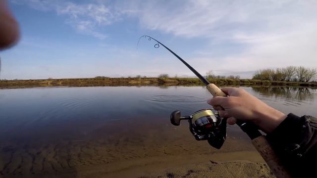 Sportowy Boleń z Narwi смотреть онлайн