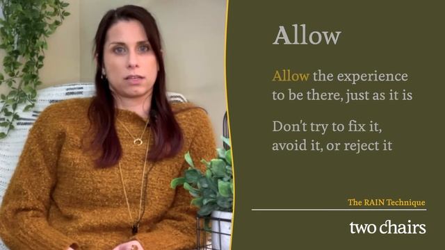 From the Therapy Room: The RAIN Technique смотреть онлайн