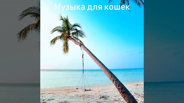 Просторный чтение смотреть онлайн