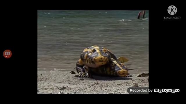 vida antes de los dinosaurios 3/9 ( hyneria sasesin@ a hynerpeton ) смотреть онлайн
