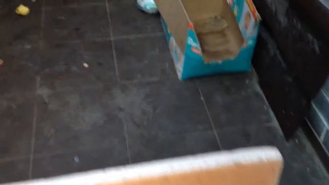 котёнок изгой смотреть онлайн