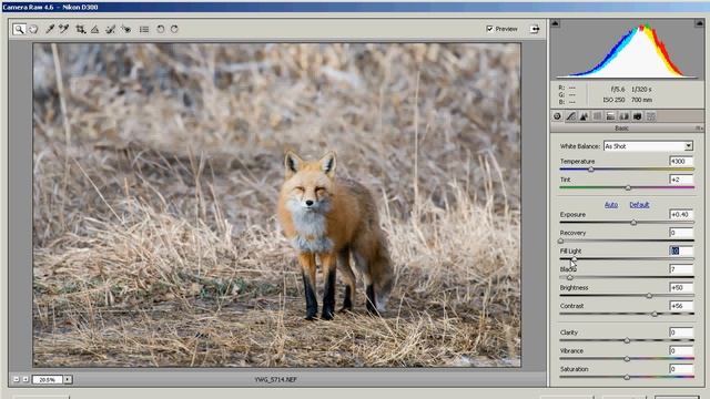 Yellow Wood Guiding Adobe Camera Raw Video 1 - The Basic Panel смотреть онлайн