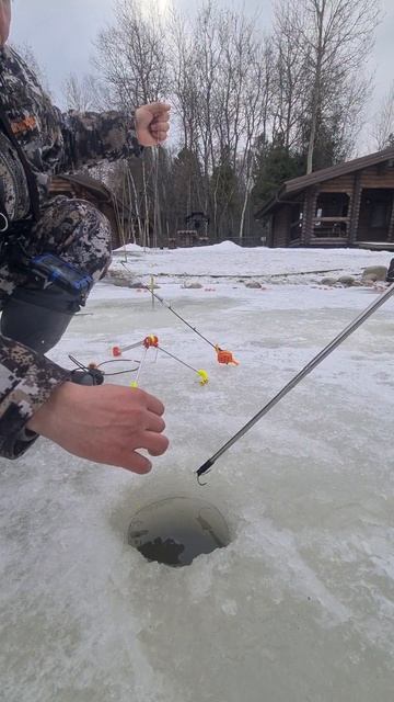 Поимка палии смотреть онлайн