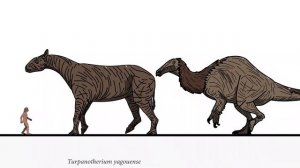 Size Comparison: Prehistoric Animals(random) Animated finale 4 of 5.