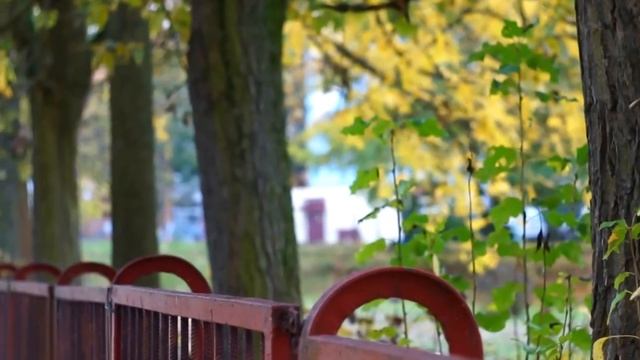 Helios 44-2 Video Test смотреть онлайн