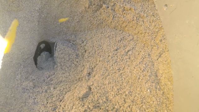 SnowEx® HELIXX™ Poly Hopper Spreader смотреть онлайн