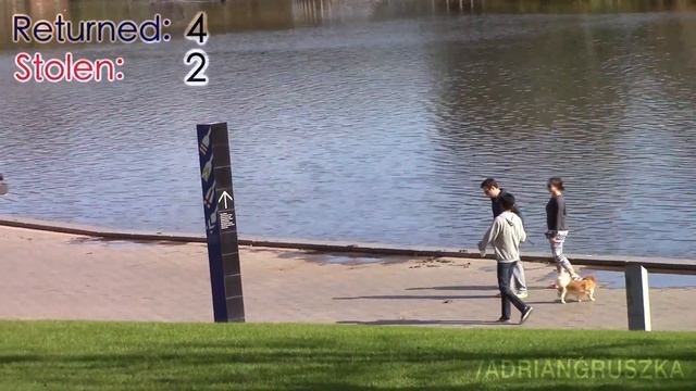 Dropping My Wallet In Public (Social Experiment)