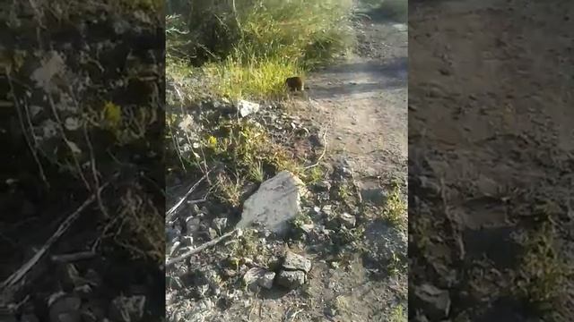 АНДАТРА смотреть онлайн