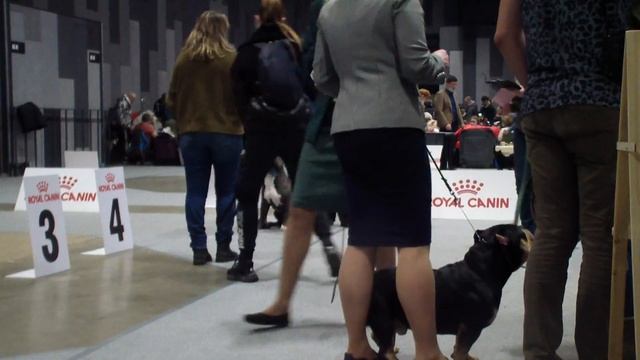 bestdog.mybb.ru смотреть онлайн