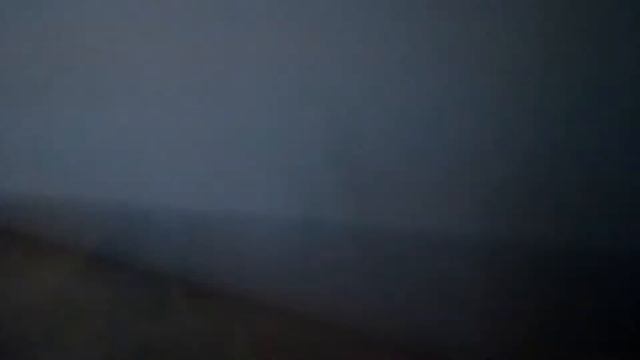 Короче говоря я стала кошкой смотреть онлайн