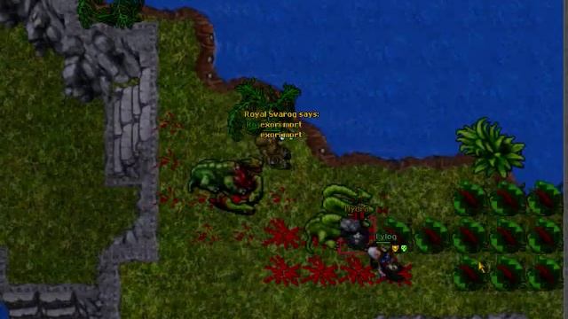 tibia hydra hunt 1sorc and 1 kina смотреть онлайн